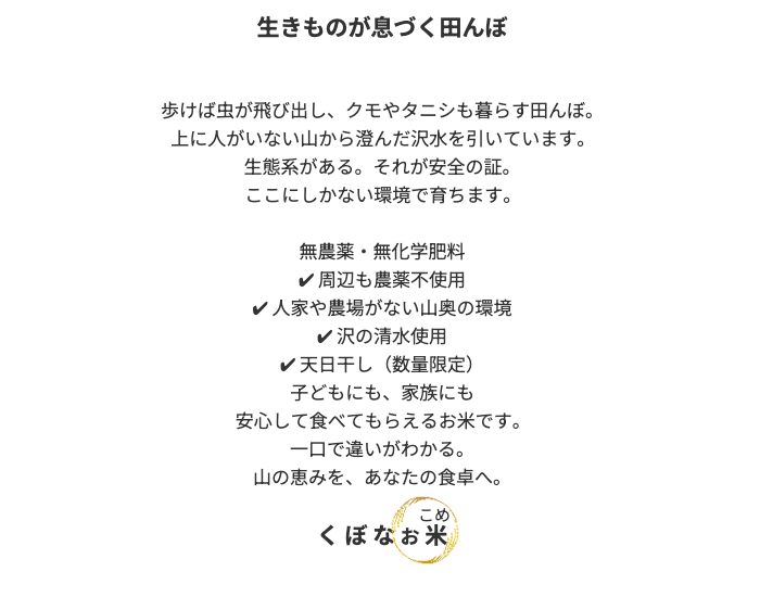 久保直子　くぼなおこ　食の安全・お米