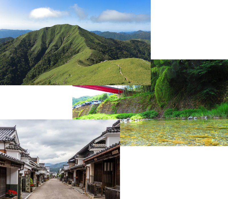 久保直子　くぼなおこ　プロフィール