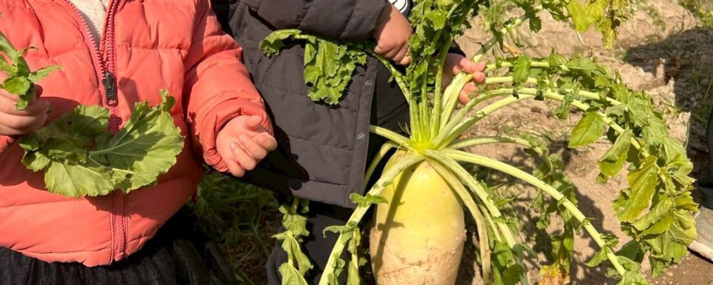 久保直子　くぼなおこ　吹田市議会議員