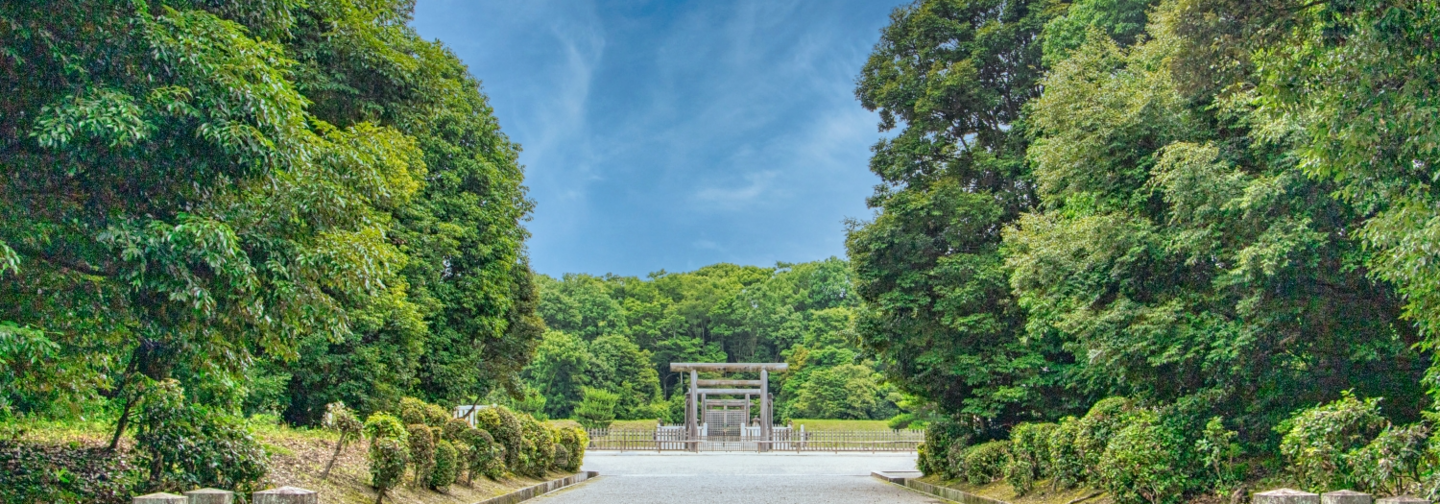 久保直子　くぼなおこ　吹田市議会