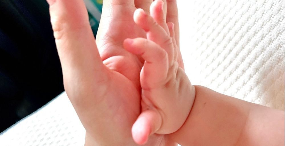 くぼなおこ　市議会報告