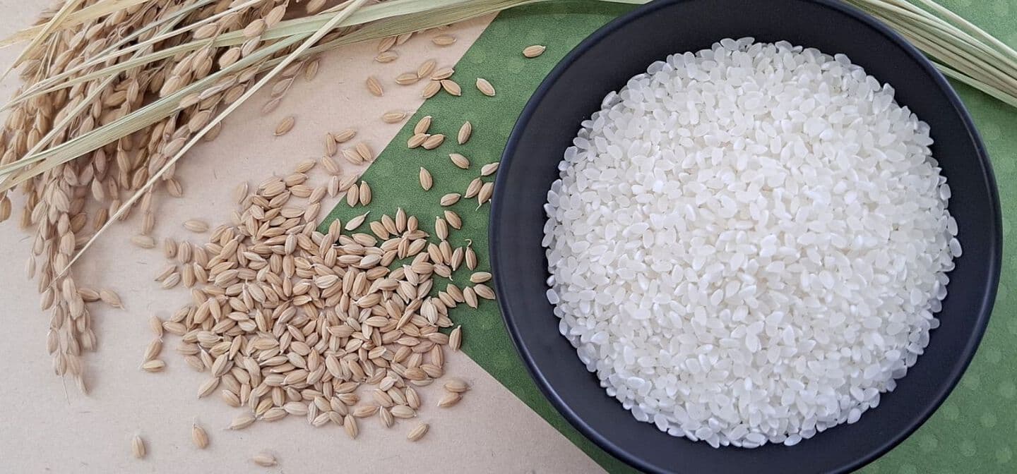 久保直子　くぼなおこ　吹田市議会