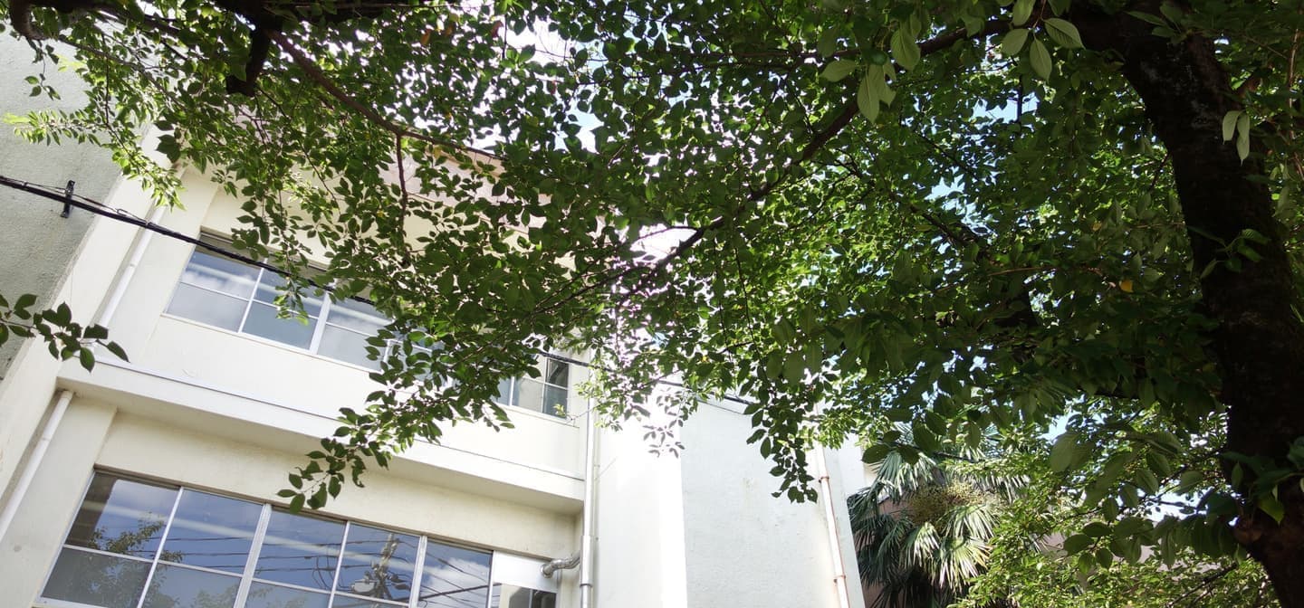 久保直子　くぼなおこ　吹田市議会