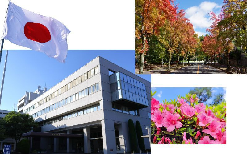 くぼなおこ　市議会報告